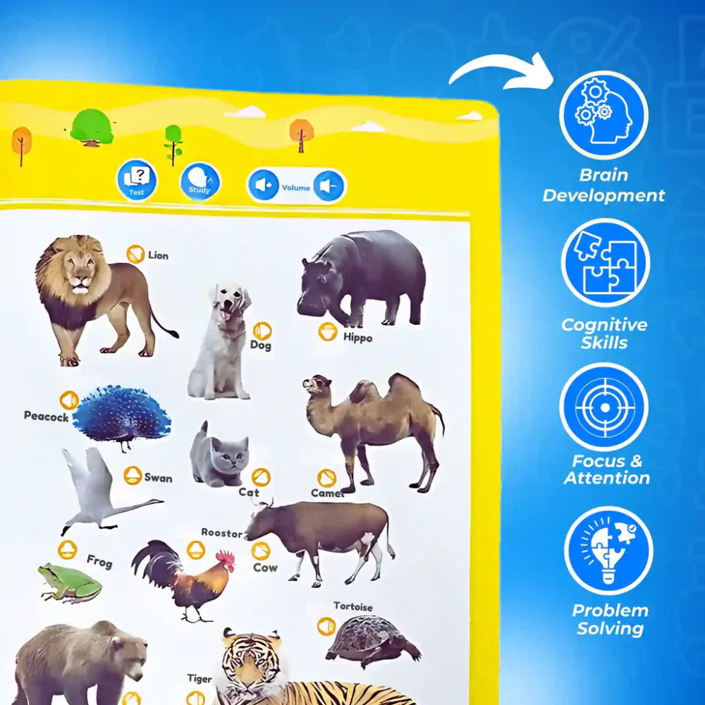 Learning Book Interactive English Audio Kids