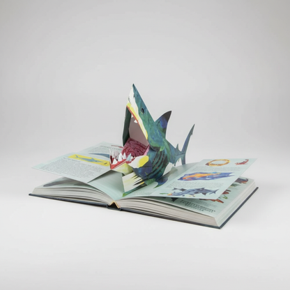 3D Dinosaur Pop-Up Book Interactive Learning Fun - Image 10