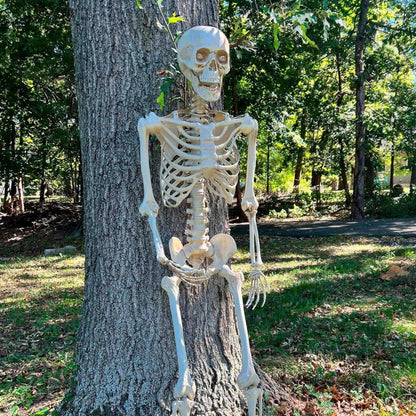 Halloween Decoration Posable Skeleton Yard Prop