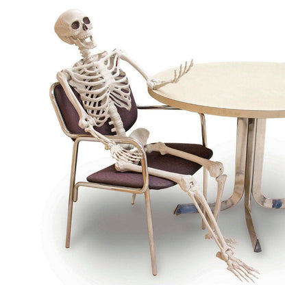 Halloween Decoration Posable Skeleton Yard Prop
