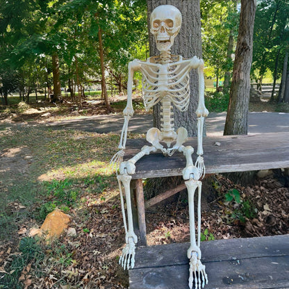 Halloween Decoration Posable Skeleton Yard Prop
