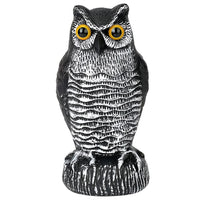 Owl 1