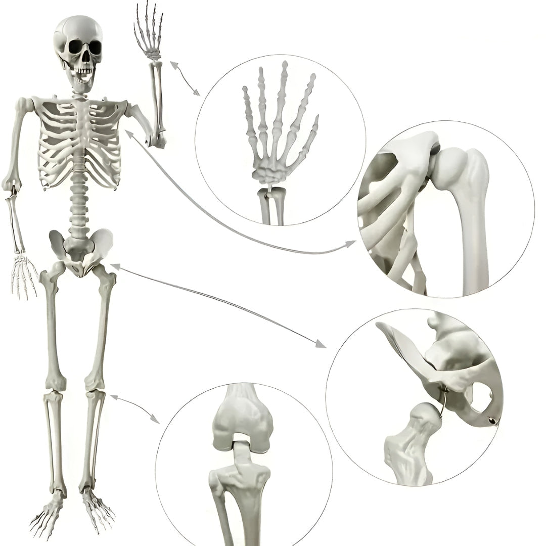 Halloween Decorations Skeleton Hanging Indoor Outdoor Prop