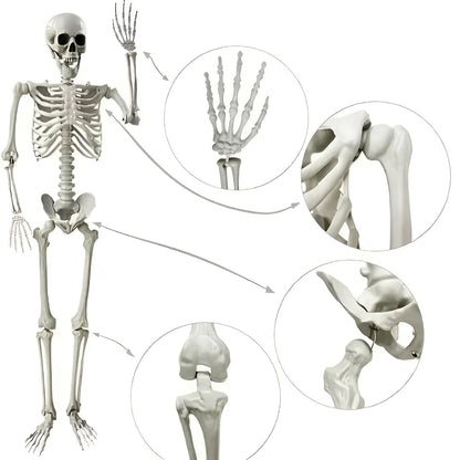 Halloween Decorations Skeleton Hanging Indoor Outdoor Prop