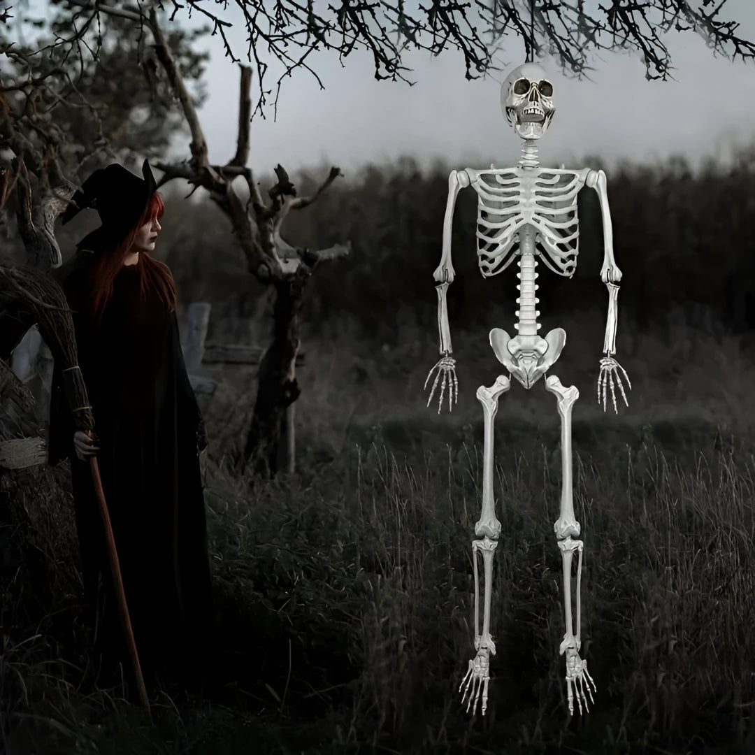 Halloween Decorations Skeleton Hanging Indoor Outdoor Prop
