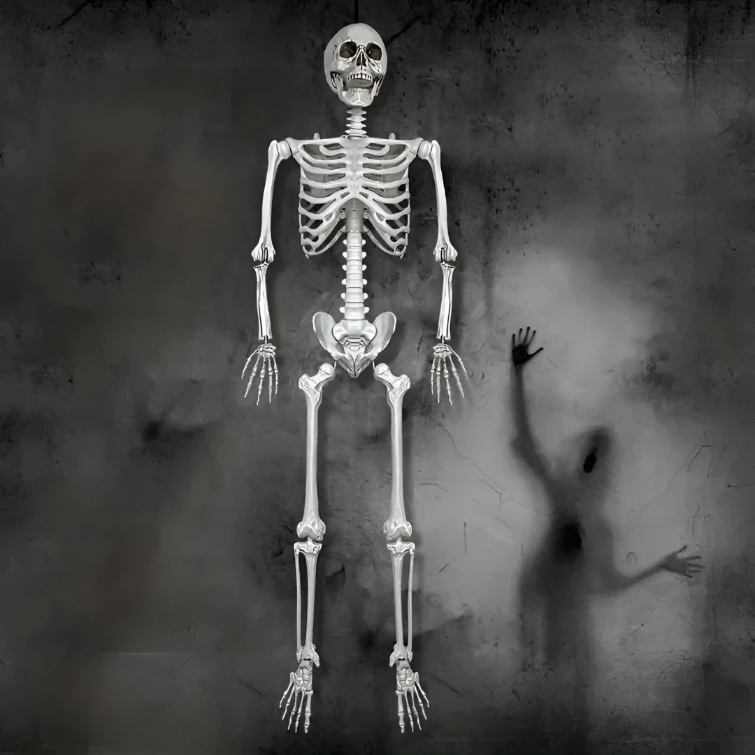 Halloween Decorations Skeleton Hanging Indoor Outdoor Prop