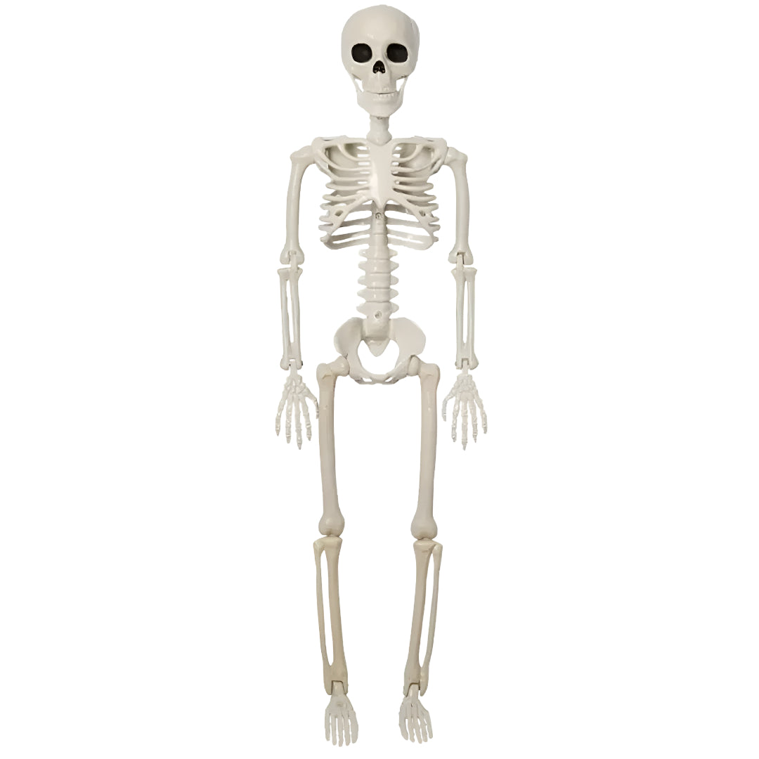 Halloween Decorations Skeleton Outdoor Hanging Prop Display