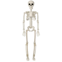 Skeleton 1