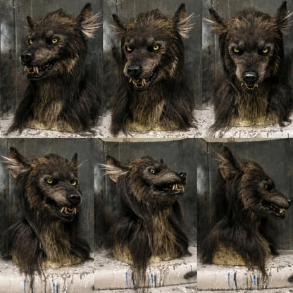 Halloween Mask Wolf Costume Full Face Werewolf Party Accessory