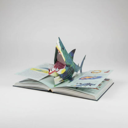 Interactive Book Pop Up Dinosaur 3D Storybook