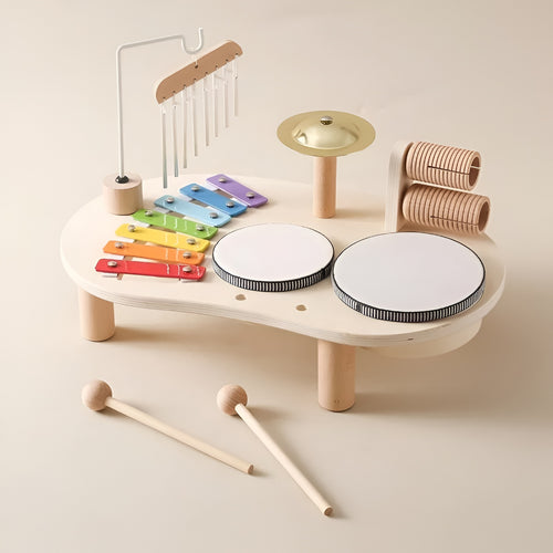 Kids Musical Instruments Montessori Educational Toy Set