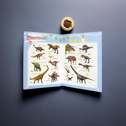 Learning Book Interactive English Audio Kids
