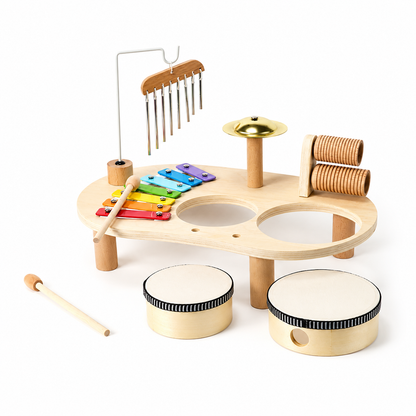 Montessori Philosophy Children's Musical Instruments Toy
