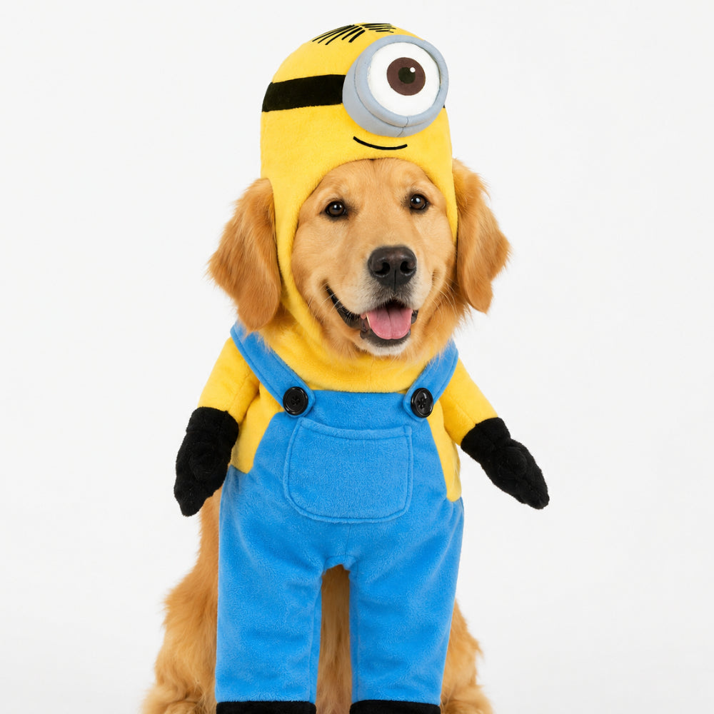 Pet Costume Cartoon Worker Walking Dog Fun Dress Up