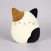 Cam the Cat