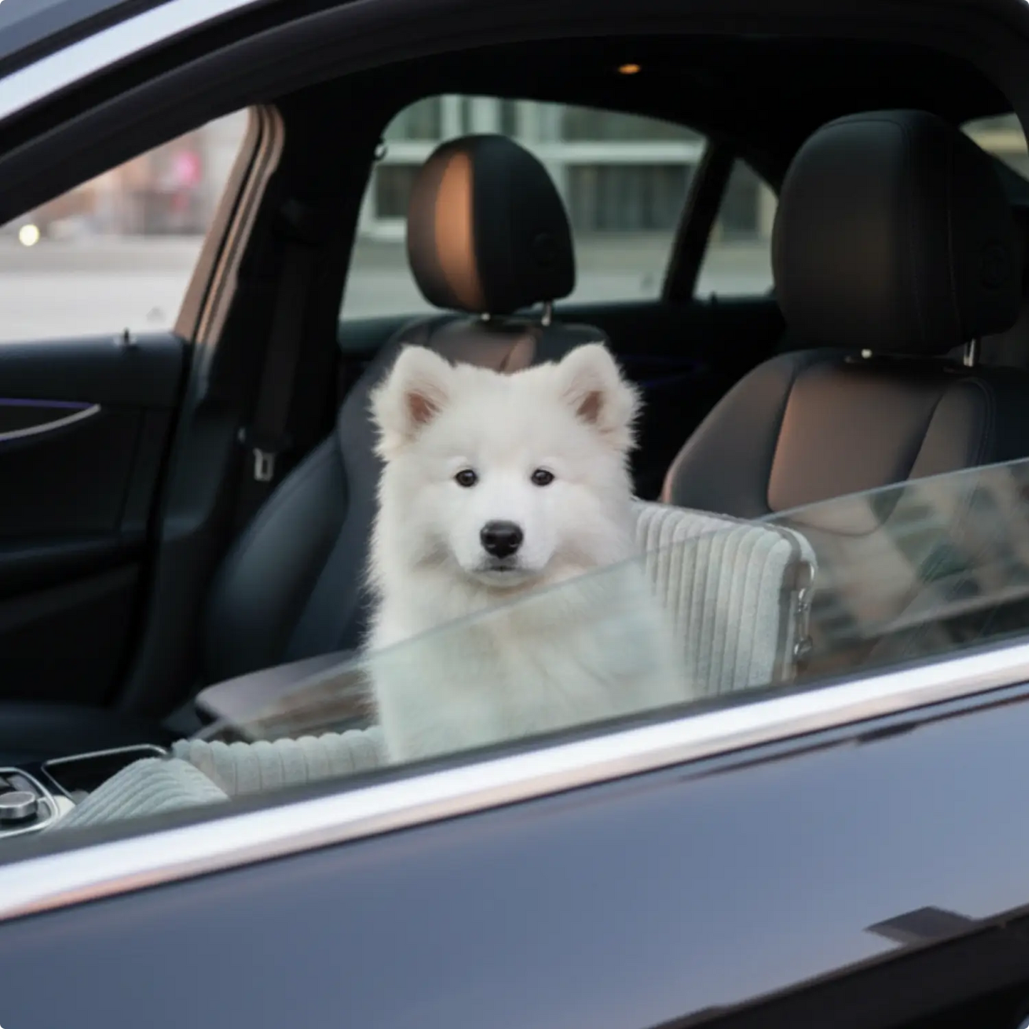 Cozy Dog Car Seat Safe Travel Soft Plush Design & Black - Image 4