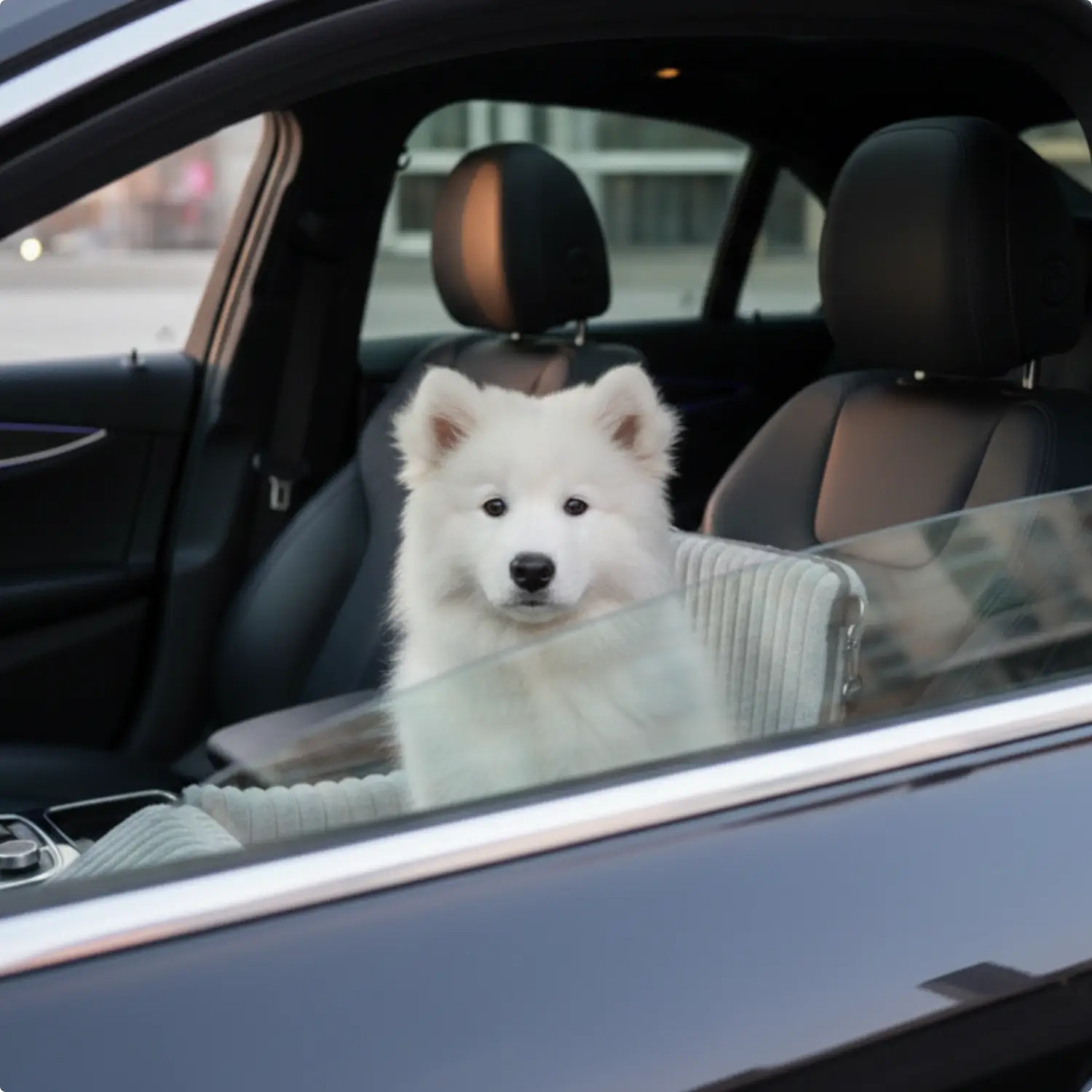 Cozy Dog Car Seat Safe Travel Soft Plush Design & Black - Image 4