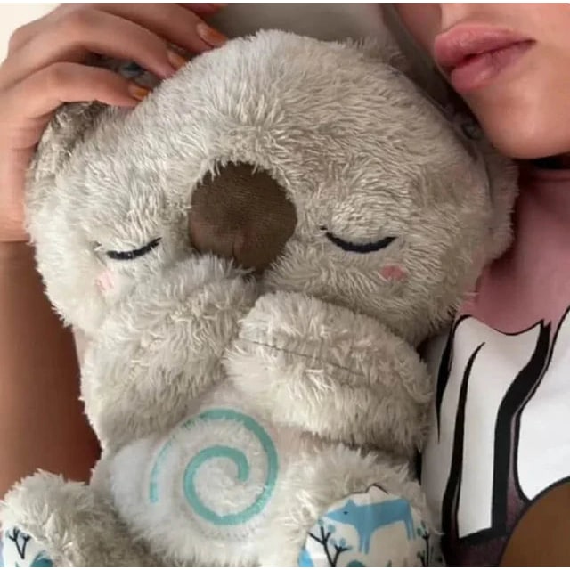 Cuddly Plush Toy Soothing Sounds and Night Light - Image 2