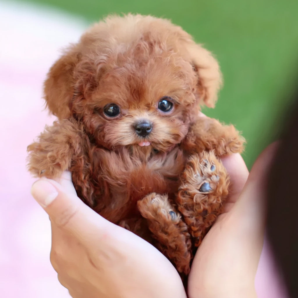 Perro robótico realista para niños Juguete interactivo Mascota que camina