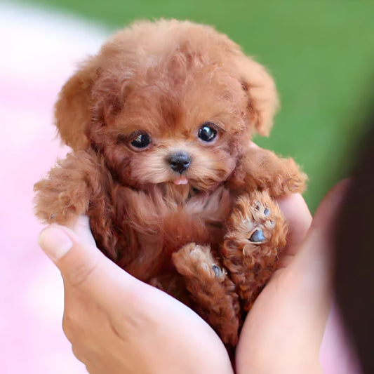 Interactive Robotic Puppy Toy Walks Barks Responds - Image 1