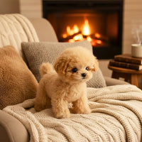 1x Bruno – Lifelike Cuddly Dog (Free Shipping)